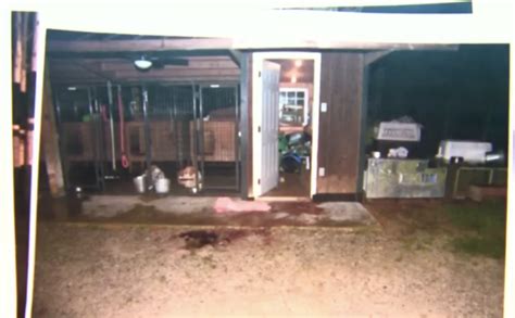 maggie murdaugh murder photos|Photo Gallery: See evidence photos from Alex。